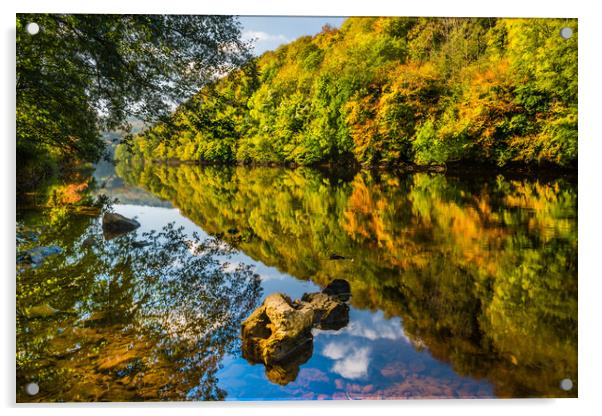 River Wye in Autumn, Symonds Yat Acrylic by David Ross