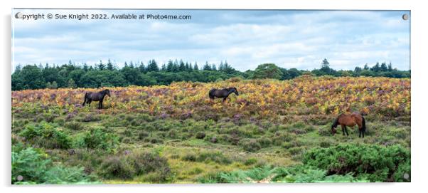 New Forest Ponies amongst the Bracken and Heather Acrylic by Sue Knight