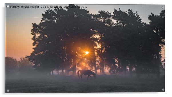 Misty Morning Sunrise Acrylic by Sue Knight