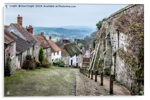 Dorset's Historic Gold Hill Vista Acrylic by Sue Knight