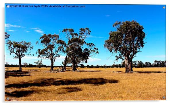  Outback Summertime Acrylic by laurence hyde