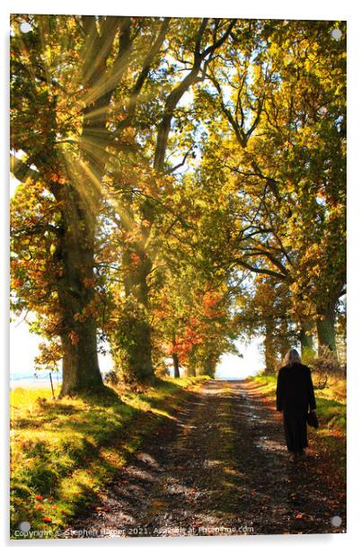 Autumn Morning Walk Acrylic by Stephen Hamer