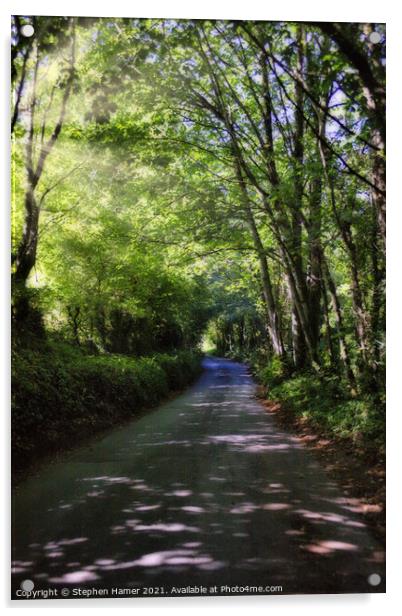 Dappled Sunlit Lane Acrylic by Stephen Hamer