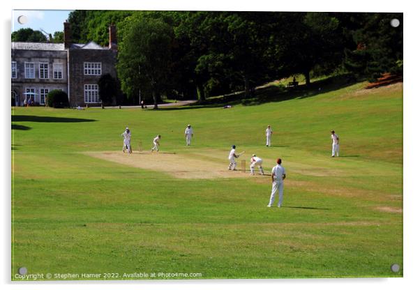 Cricket at Cockington Acrylic by Stephen Hamer