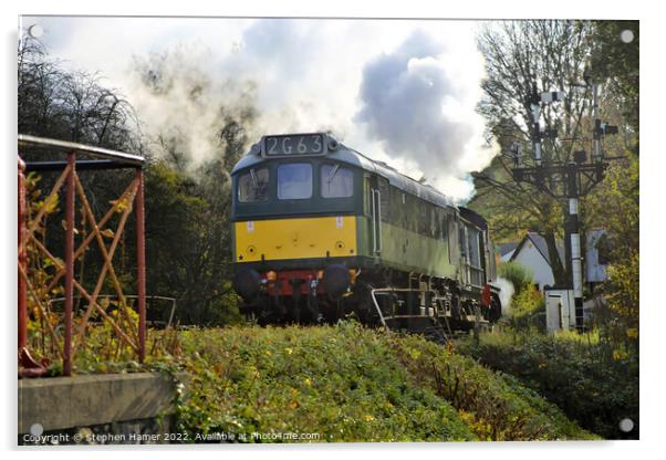 Class 25 Locomotive Acrylic by Stephen Hamer