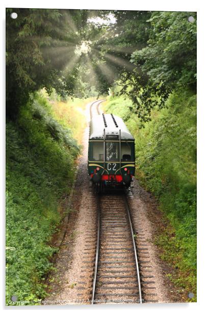 Class 122 Diesel  Acrylic by Stephen Hamer