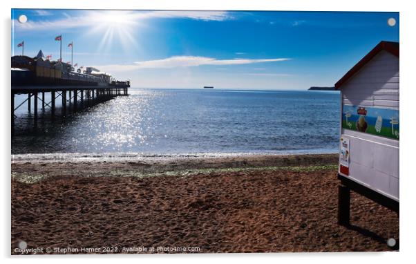 Paignton Pier and Tor Bay Acrylic by Stephen Hamer
