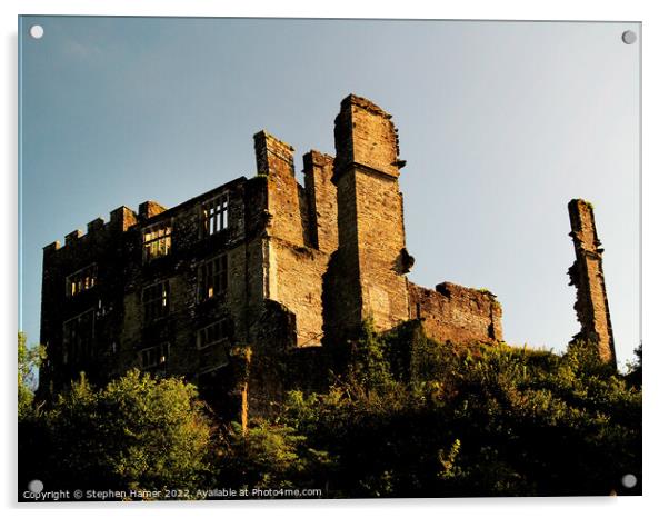 Haunted Beauty Berry Pomeroy Castle Ruins Acrylic by Stephen Hamer
