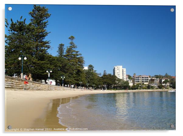 East Manly Cove Beach Acrylic by Stephen Hamer