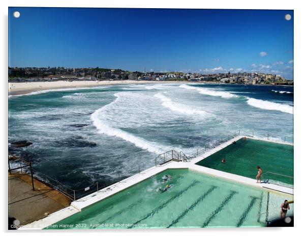 The Iceburg Sea Pool and Bondi Beach Acrylic by Stephen Hamer