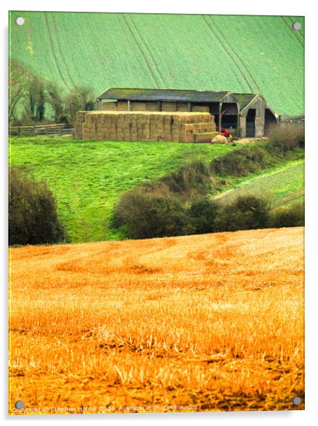 On the Farm Acrylic by Stephen Hamer