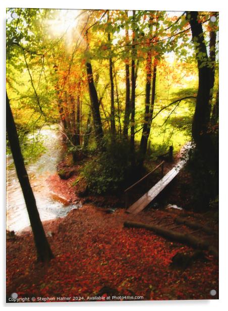 Riverside Walk Acrylic by Stephen Hamer