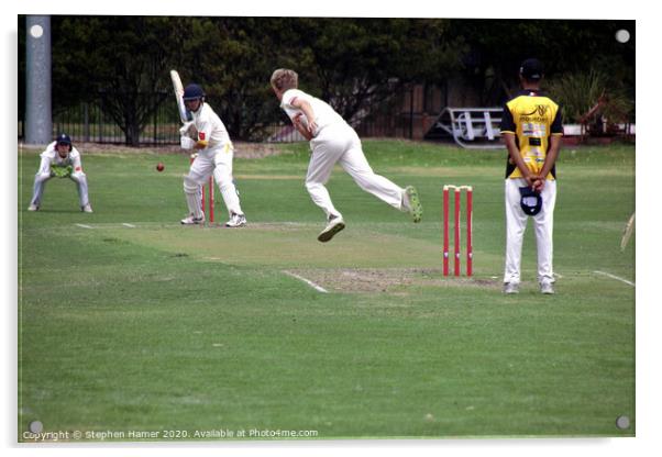 Flight of the Fast Bowler Acrylic by Stephen Hamer