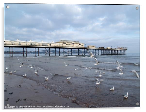 Paignton Pier & Gull's Acrylic by Stephen Hamer