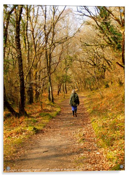 Woodland Walk Acrylic by Stephen Hamer