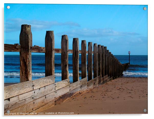 Dawlish Warren Beach Groyne Acrylic by Stephen Hamer