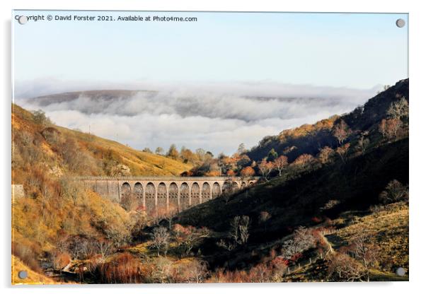 Smardale Gill Viaduct in Autumn, Cumbria, UK Acrylic by David Forster