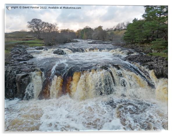 The River Tees in Spate at Low Force, Teesdale, County Durham Acrylic by David Forster
