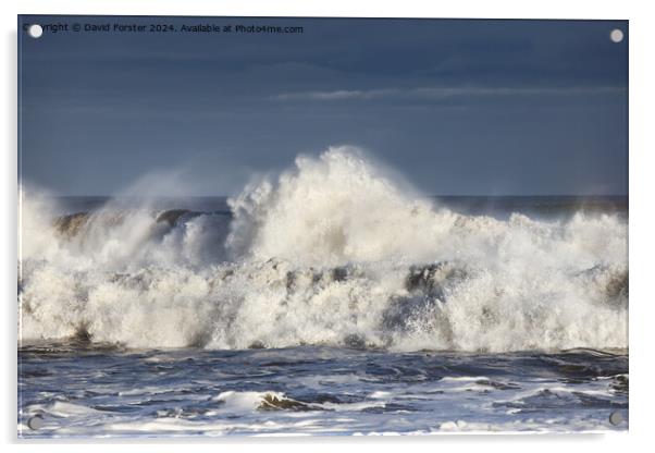 Stormy seas in the wake of Storm Henk, Seaham, Cou Acrylic by David Forster