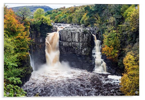 High Force Teesdale County Durham England Acrylic by David Forster