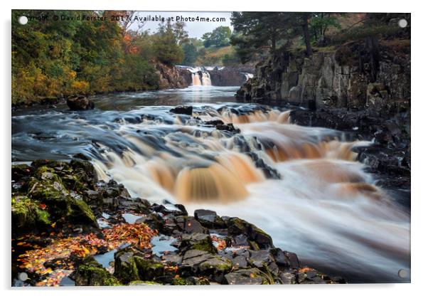 Autumn Colours, River Tees, Low Force, Teesdale Acrylic by David Forster