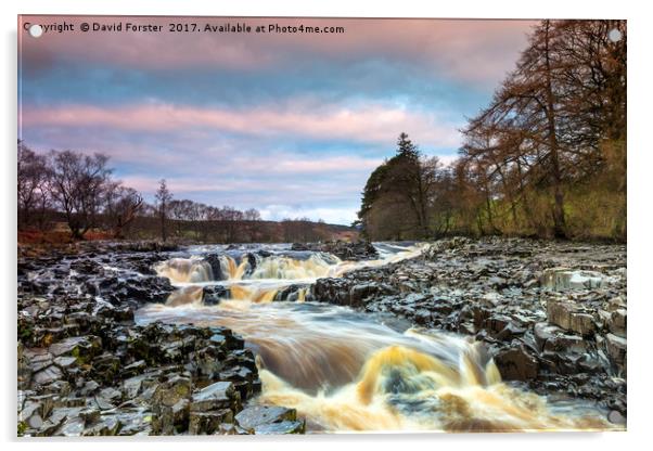 Low Force Upper Falls, River Tees, Teesdale Acrylic by David Forster