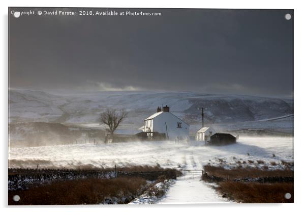 Dales Farm With Wind Blown Snow  Acrylic by David Forster