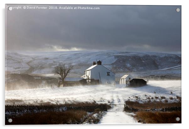 Remote Farm With Wind Blown Snow  Acrylic by David Forster