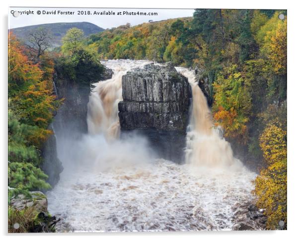 High Force Autumn Acrylic by David Forster