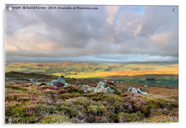 North Pennine Light, Teesdale, County Durham, UK. Acrylic by David Forster