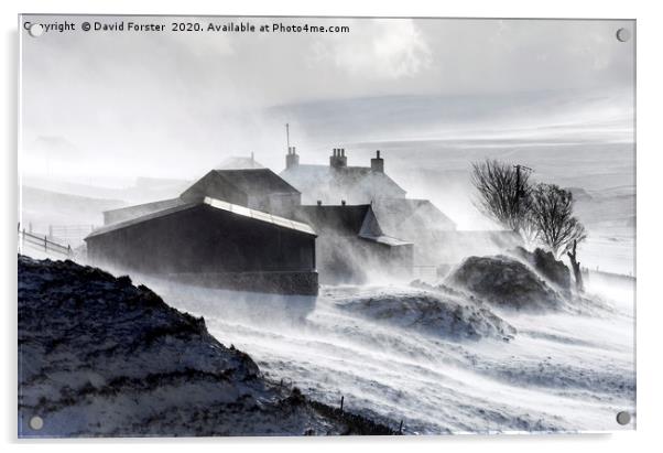 North Pennine Farmstead Blizzard, Upper Teesdale,  Acrylic by David Forster