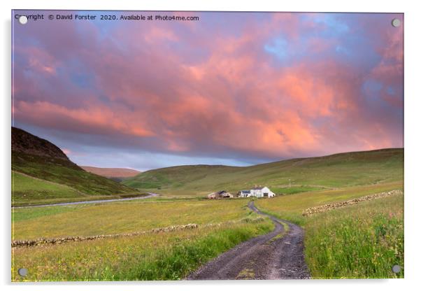 North Pennine Dawn, Teesdale, County Durham Acrylic by David Forster