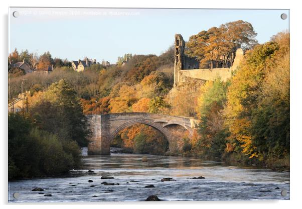 The River Tees, Barnard Castle in Autumn, Teesdale, County Durham, UK Acrylic by David Forster