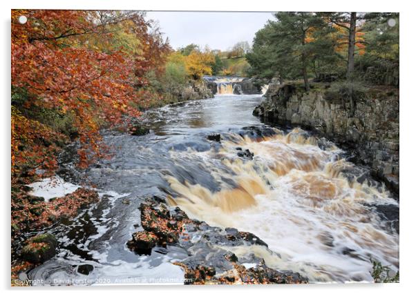 Low Force from the Pennine Way, Bowlees, Teesdale, County Durham, UK Acrylic by David Forster