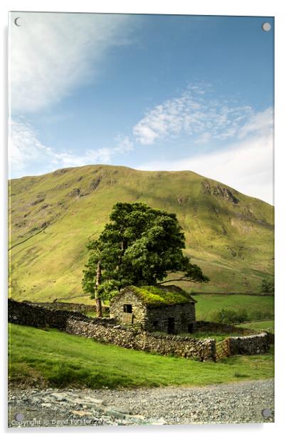 Traditional Old Stone Barn, Lake District, Cumbria, UK Acrylic by David Forster