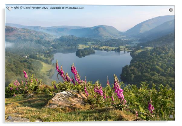 Foxglove Flowers and Grasmere Viwed from Loughrigg Fell on a Mis Acrylic by David Forster