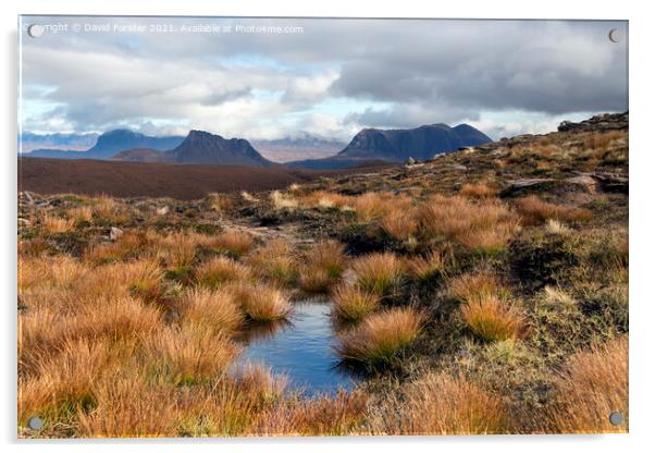 Suilven, Stac Pollaidh and Cull Mor, Highland, Scotland Acrylic by David Forster