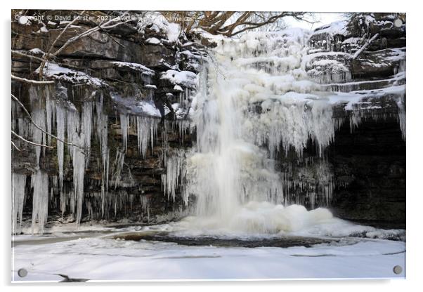Summerhill Force and Gibsons Cave in Winter, Bowlees, Teesdale,  Acrylic by David Forster