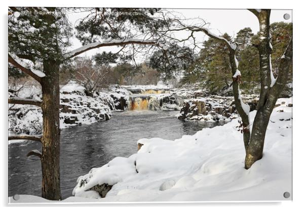 Low Force in Winter, Bowlees, Teesdale County Durham, UK Acrylic by David Forster