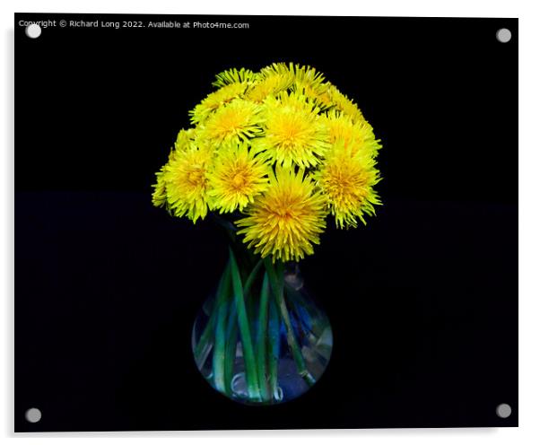 Yellow Dandelion flowers Acrylic by Richard Long