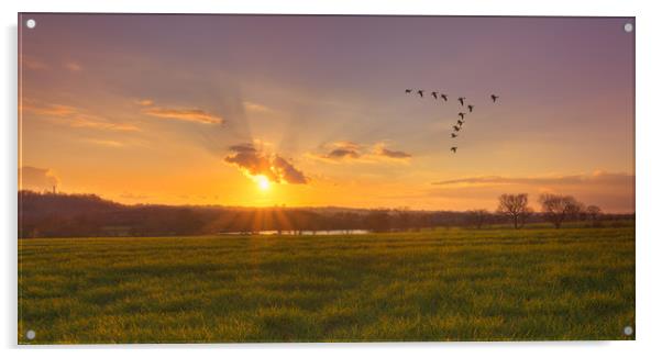 A sunset over fields Acrylic by John Allsop