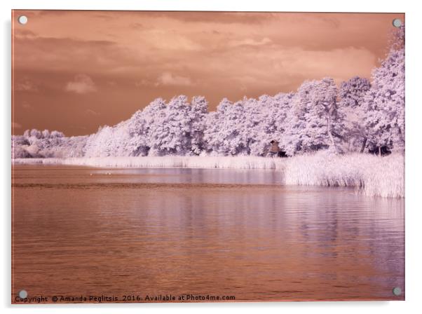 House on the Lake Acrylic by Amanda Peglitsis