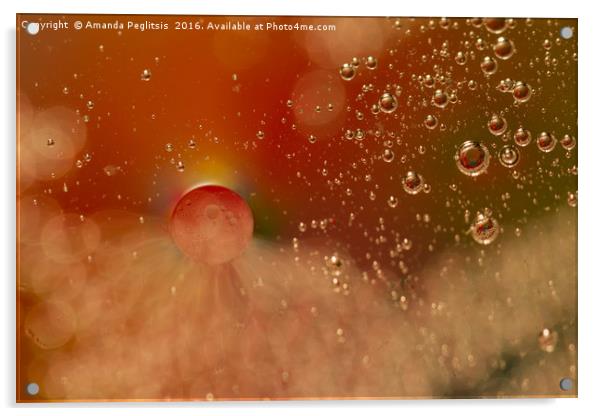 Bubbles Acrylic by Amanda Peglitsis