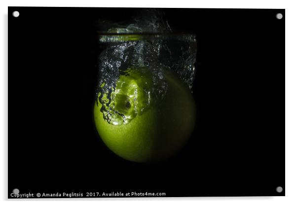 apple  Acrylic by Amanda Peglitsis