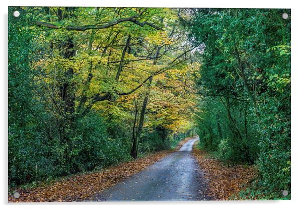  Autumn highway Acrylic by Gary Schulze