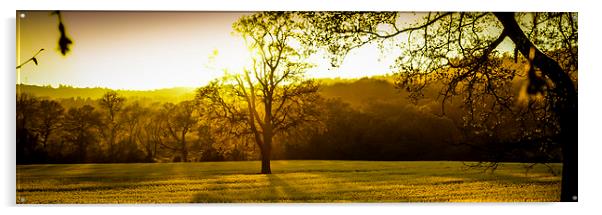  Golden sunrise Acrylic by Gary Schulze