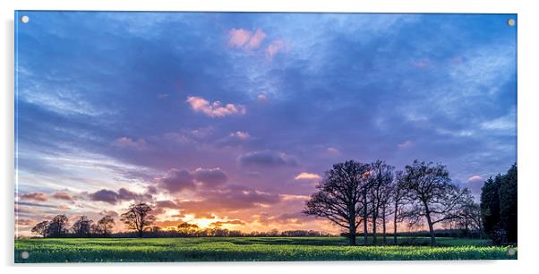 Purple sunset Acrylic by Gary Schulze