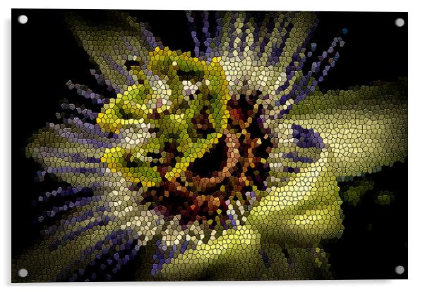  Passion flower stained glass effect Acrylic by Gary Schulze