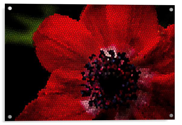 Red flower stained Acrylic by Gary Schulze