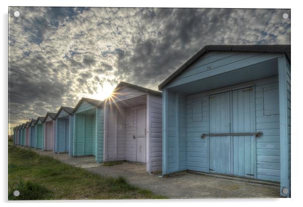  Southsea Beach Huts Acrylic by Dan Hamilton